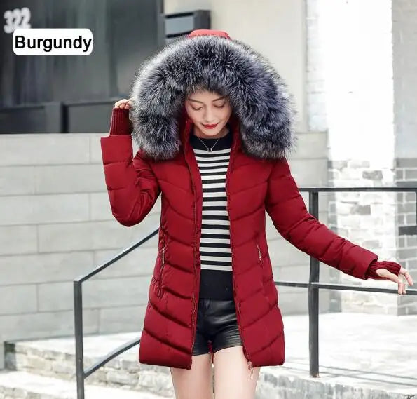 Burgundy 1
